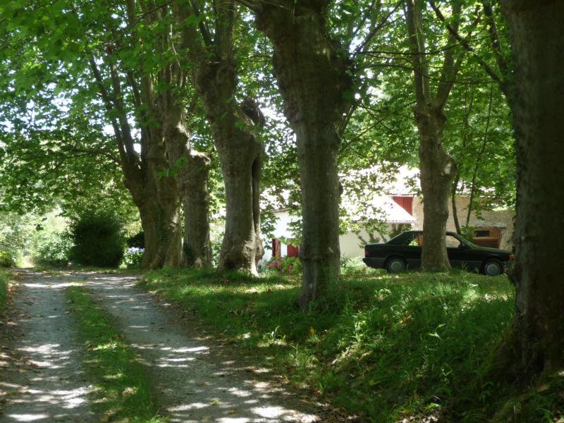 Ferme 11 pièces St martin de seignanx disponible à la Vente