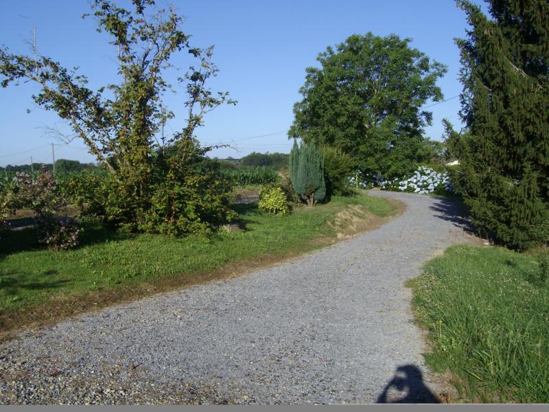 Ferme 14 pièces St martin de seignanx disponible à la Vente