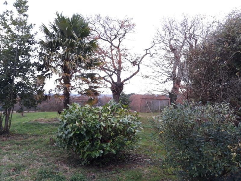Ferme 14 pièces St martin de seignanx disponible à la Vente
