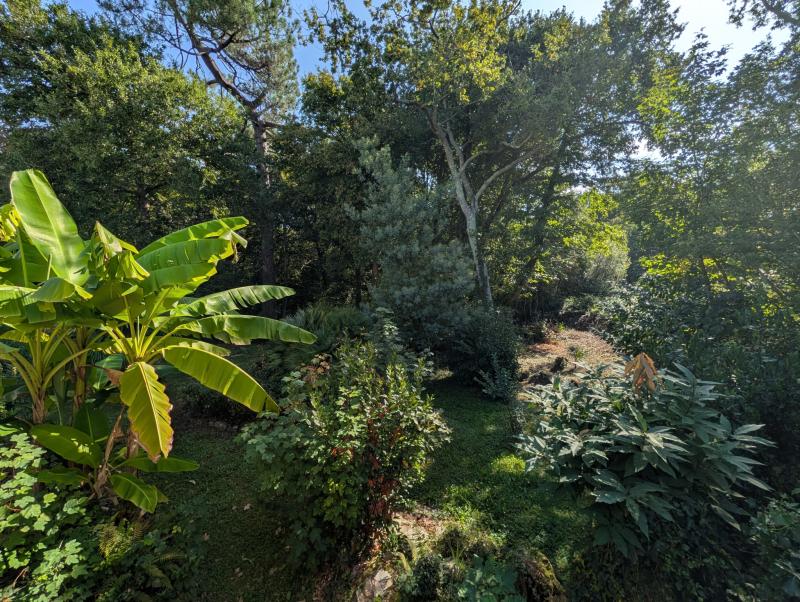 Maison 6 pièces Tarnos disponible à la Vente