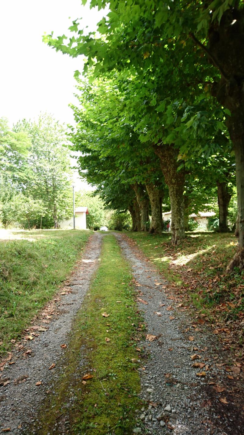 Maison 11 pièces St martin de seignanx disponible à la Vente