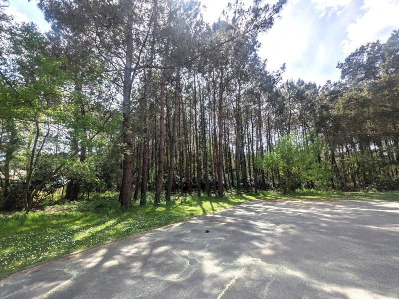 Appartement 3 pièces Ondres disponible à la Vente