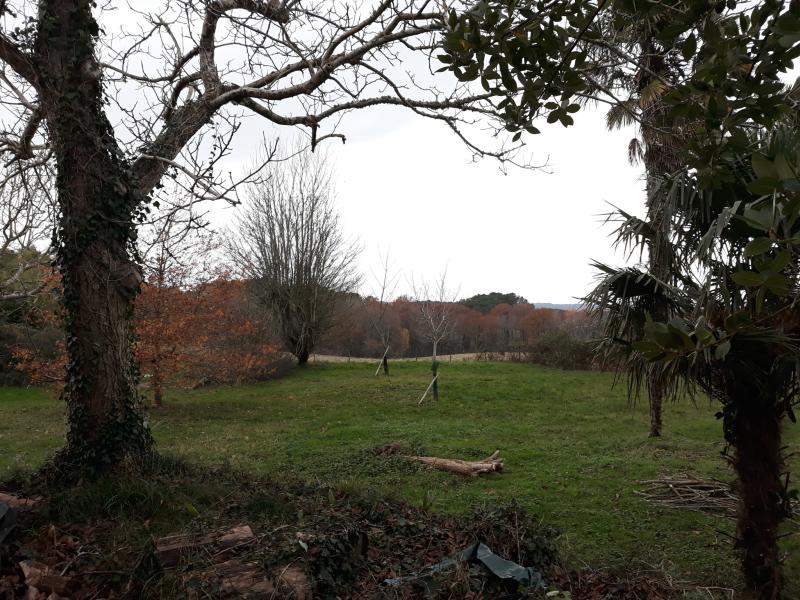 Maison 14 pièces St martin de seignanx disponible à la Vente