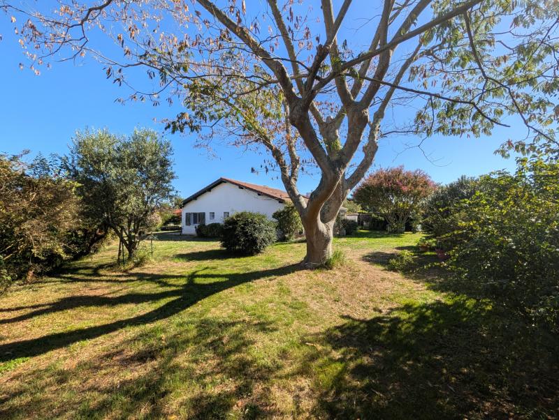 Maison 3 pièces Ondres disponible à la Vente